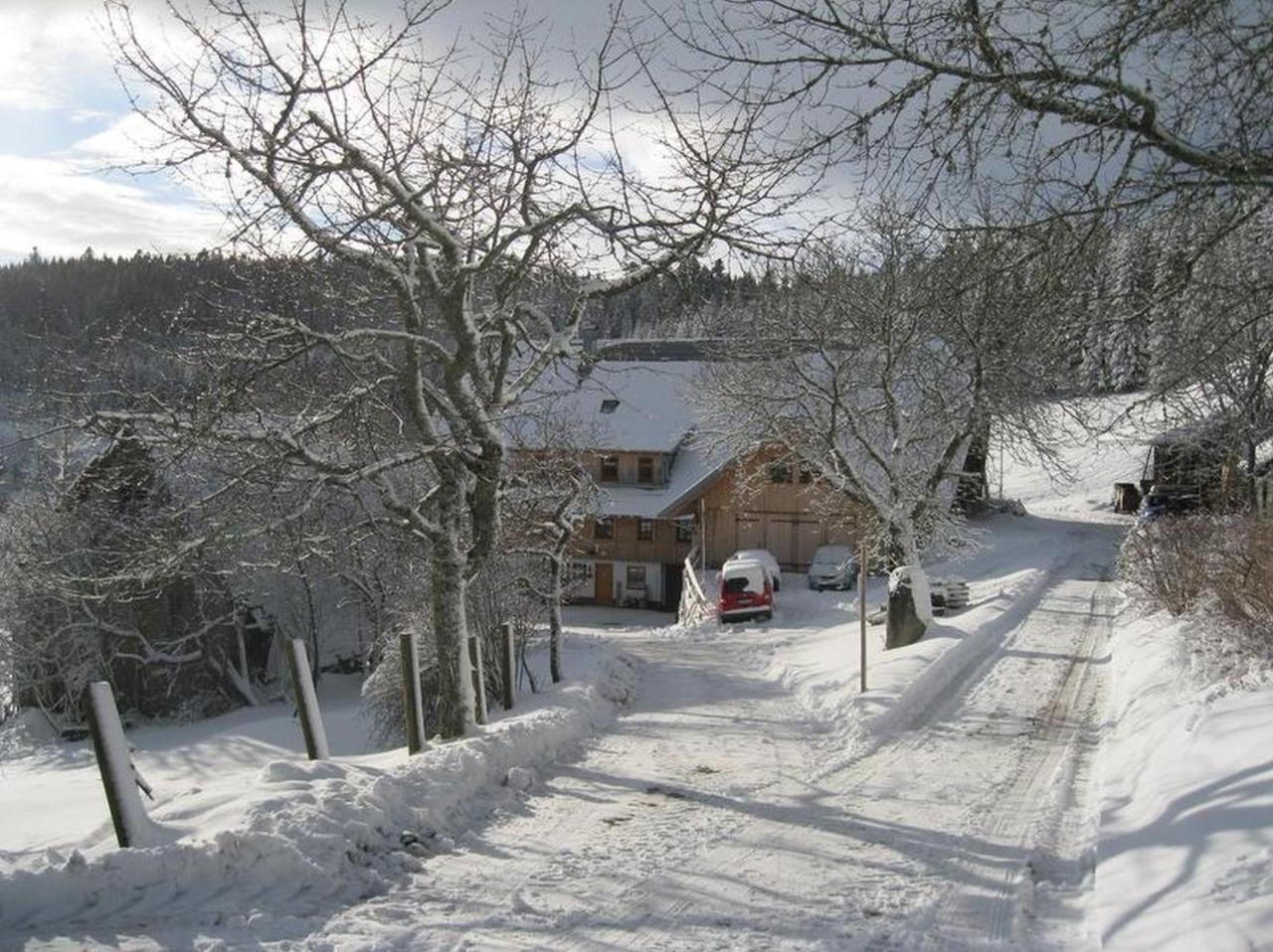 Sigmundenhof Lejlighed Schonach im Schwarzwald Eksteriør billede